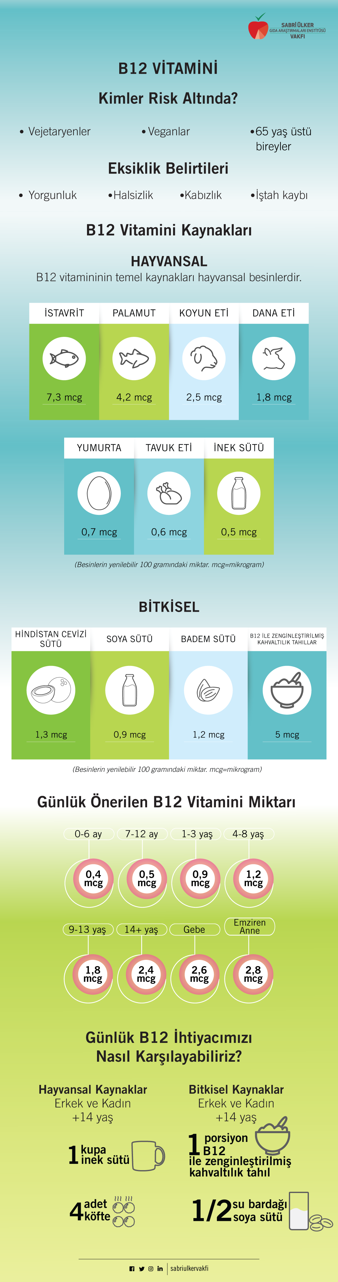 B12 Vitamini